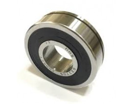 ŞANZUMAN RULMANI PALIO