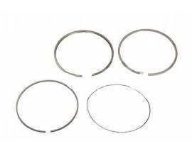 SEGMAN TAKIMI TRAFIC II 03-12 LAGUNA II-III 2.0Dci M9R