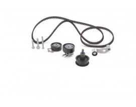 STANDART TRİGER SETİ 1987948012-1987948254