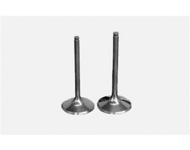 SUBAP EMME EGZOZ MASTER-MOVANO 2.5DCI-LGN 2.2 G9U 16V IN-8/EX-8