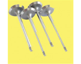 SUBAP EMME EGZOZ MGN-CLIO-R9-R19-SOLENZA 1.4-1.6 ENJ EXP 8V IN-4/EX-4 7700114525-7700114526