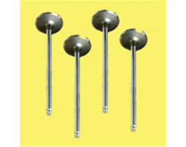 SUBAP EMME EGZOZ R11 FLASH 1700-R21 MNGR 8V IN-4/EX-4