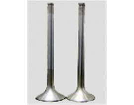 SUBAP EMME EGZOZ R12 1300