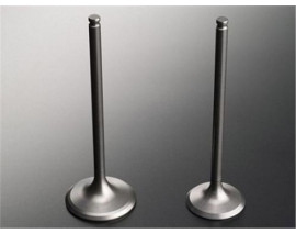 SUBAP EMME EGZOZ TMPR-UNO-SLX 1.6 8V STD IN-4/EX-4