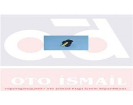 TEVZİ MAKARASI R11 FLASH 1.7 ORJ.ÜRÜN