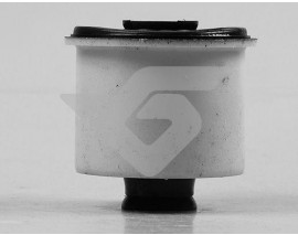 TORSİYON BURCU C2-C3 I-II