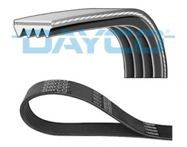 TRİGER KAYIŞI 116RP 254HT SCUDO-JUMPY-C4 PICAS-C5-CMAX-FOCUS III-MOND-SMAX-P308-P407-EXP 2.0HDI 10