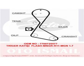 TRİGER KAYIŞI 125x190 FLASH-MNGR-R11-MGN 1.7 GD125H9-5P190 CT684