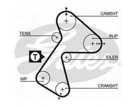 TRİGER KAYIŞI 151x254 KNG-CLIO-EXP DZL 96 GD151H9.5P254II CT949