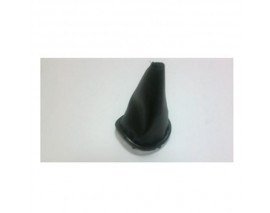 VİTES KÖRÜĞÜ CLIO III