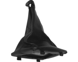 VİTES KÖRÜĞÜ SİYAH PALIOSİENA