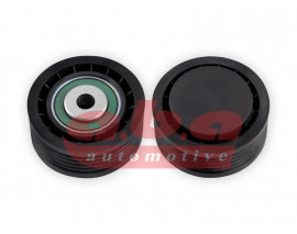 x ALTERNATÖR GERGİ RULMANI MASTER-MOVANO 2.5 D-2.8 DTI 98-01