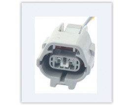 x MÜŞÜR SOKETİ JAPON