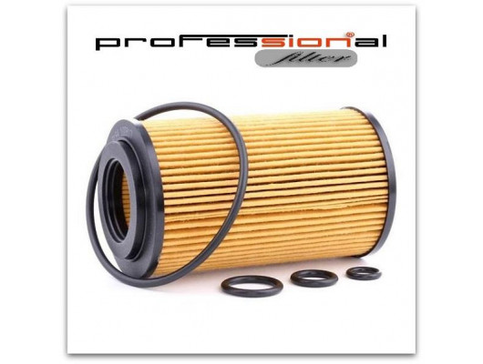 YAG FILTRESI BMW M47 D20 E39 E46 00 03 204D3 FREELANDER 1 L314 Td4 00 06