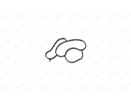 YAĞ FİLTRESİ CONTASI BMW 1 E87 116 I 09-11