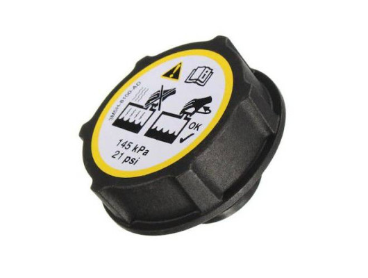 YEDEK SU DEPO KAPAGI FREELANDER 2 L359 R.R EVOQUE L538 L551 JAGUAR E-PACE X540 FORD B-MAX C-MAX FIESTA FOCUS GALAXY KUGA MONDEO VOLVO S40 S60 S80 S90 C70 C30